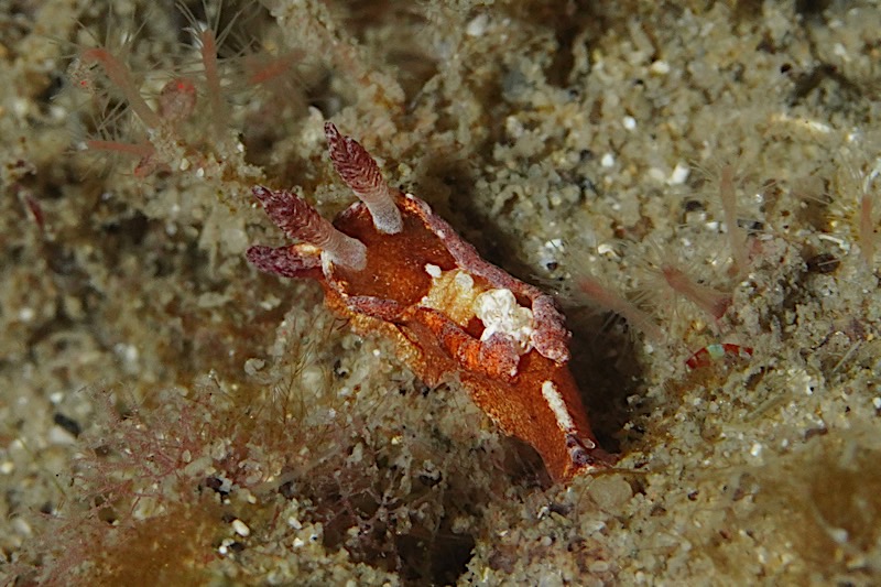 4149a